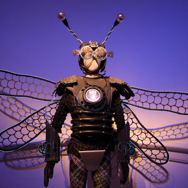 A photograph of an insect costume that has a helmet with antennas and wings on it's back.