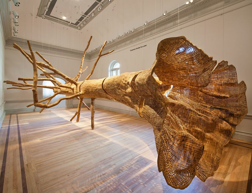 Installation shot of John Grade's Middle Fork for WONDER at the Renwick Gallery.