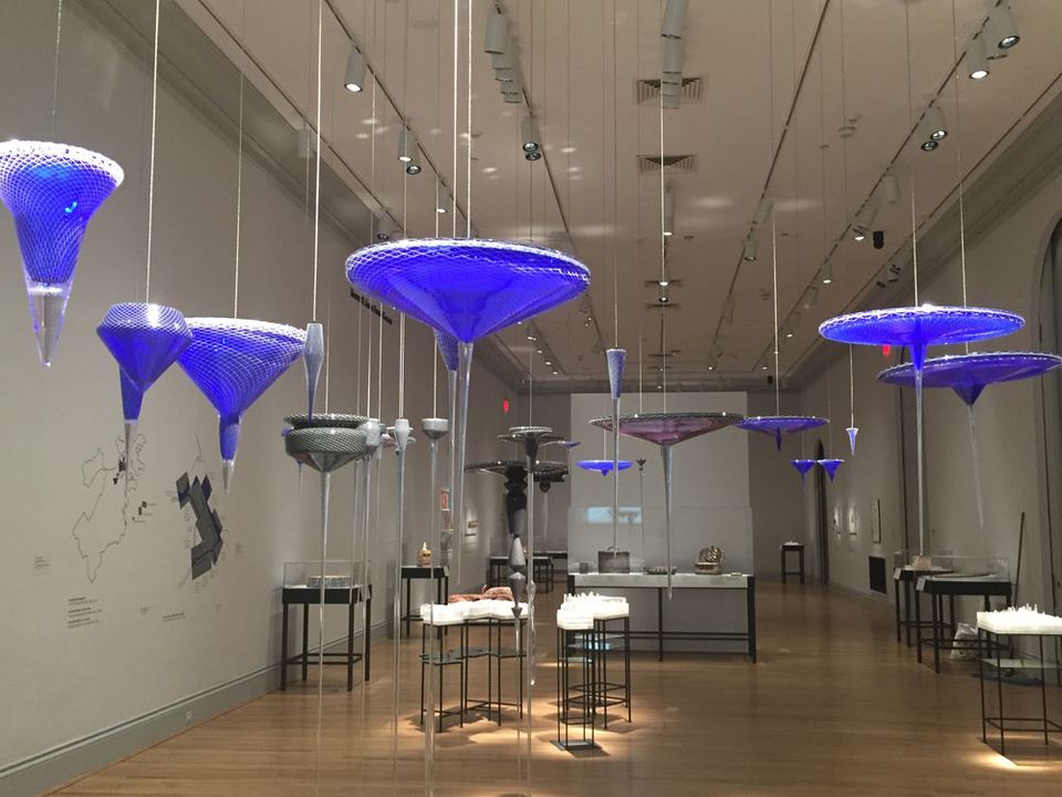 An in gallery photograph of blown glass hanging from the ceiling. 
