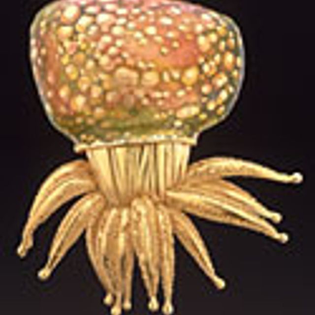 This is a brooch that looks like an orange and yellow octopus. 