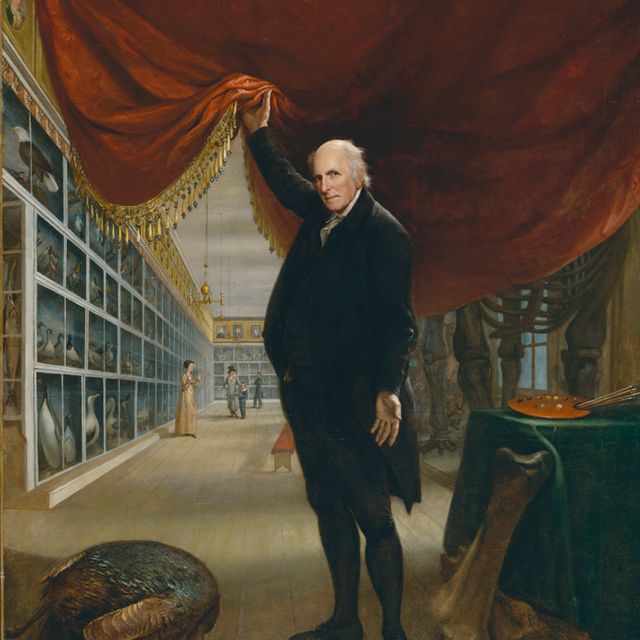 An oil on canvas of a man lifting a curtain into his museum