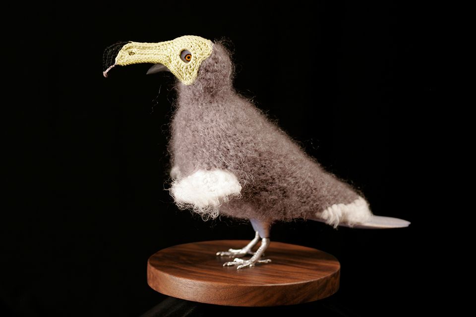 A crocheted dodo bird. 