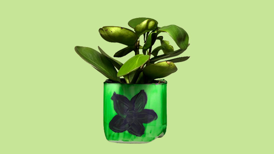 a plant potted in a milk carton
