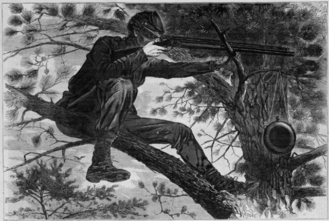 Homer's wood engraving on paper of a sharpshooter in a tree.