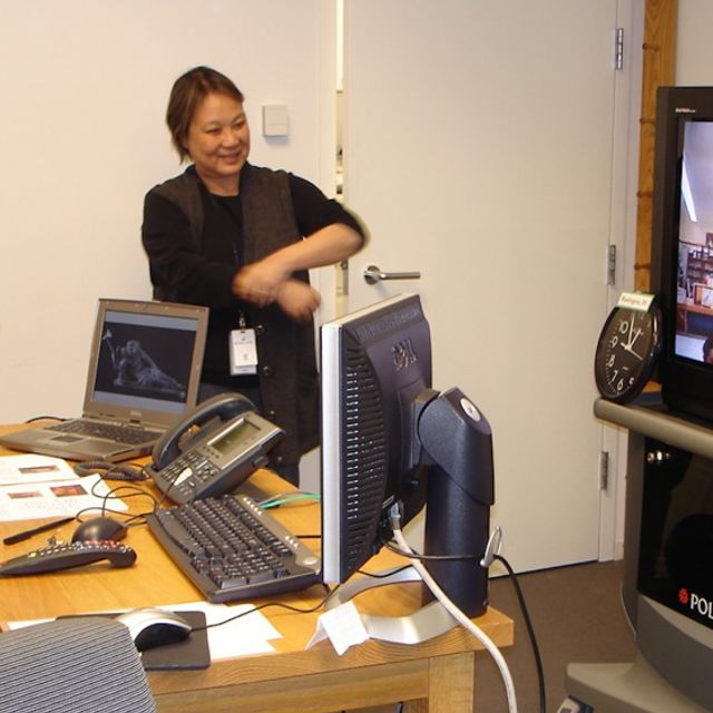 Image of two women looking at tv screen conducting a distance learning class