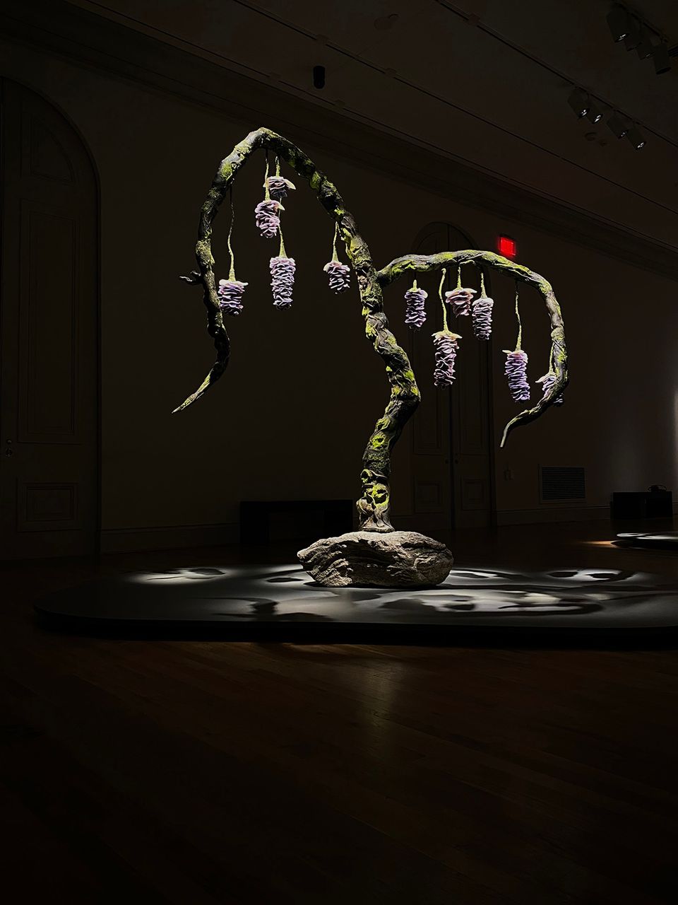 An installation photograph of a tree
