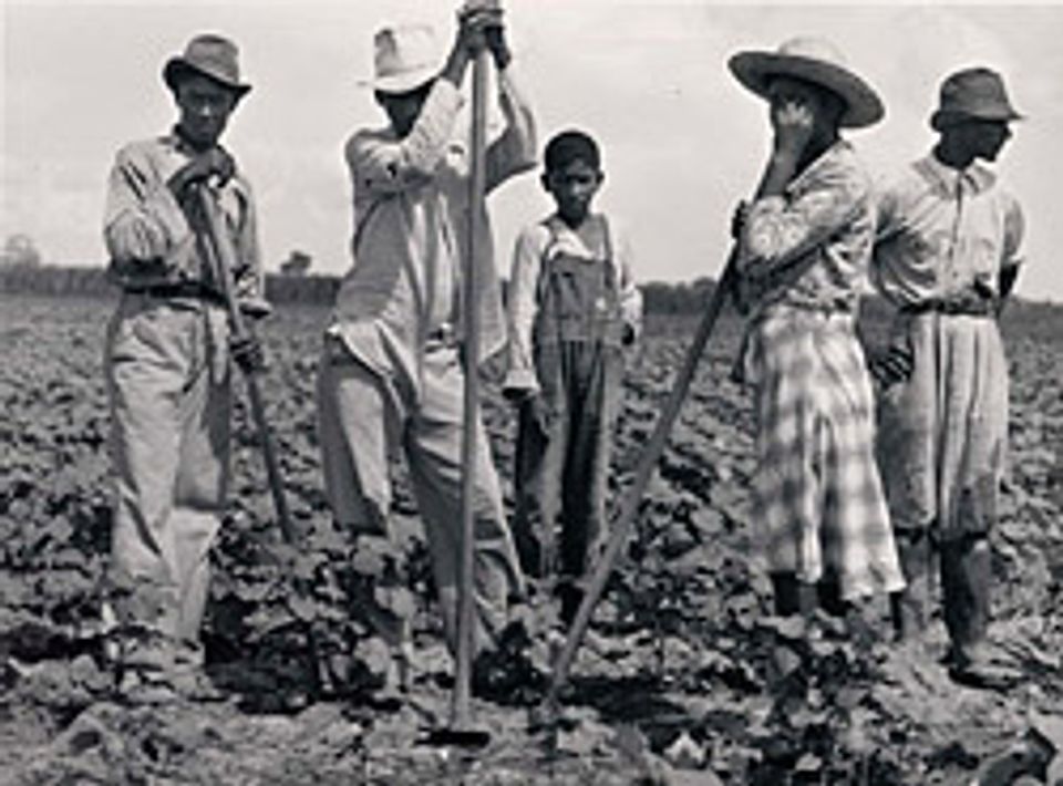 Marion Post Wolcott, Negro men and women working in a field, Bayou Bourbeaux Plantation