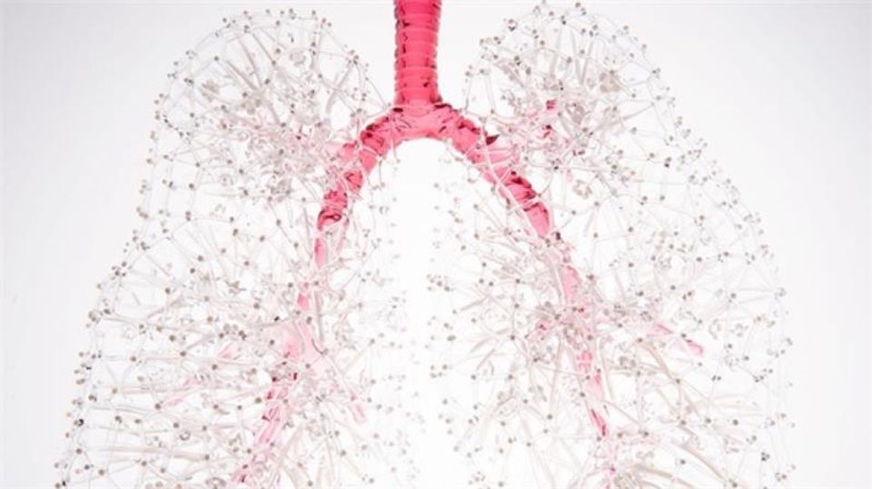 A close-up of Kit Paulson's artwork, Lungs