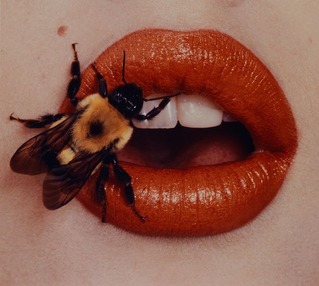 A photograph of a woman's lips with a bee on them.