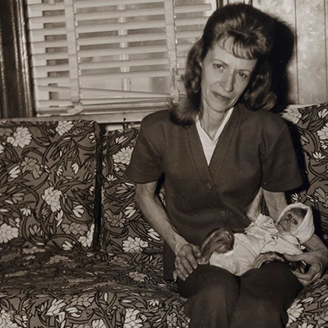 Black and white photograph of a woman holding a monkey that is swaddled like a baby