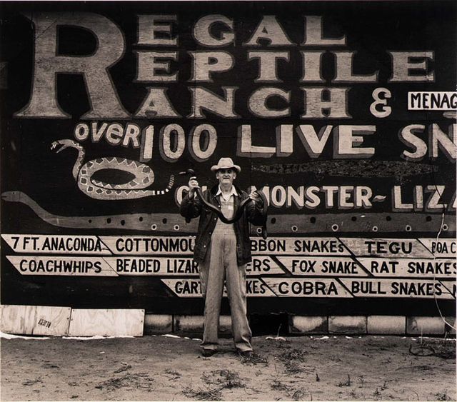 A photograph of a man holding a snake in front of a sign.