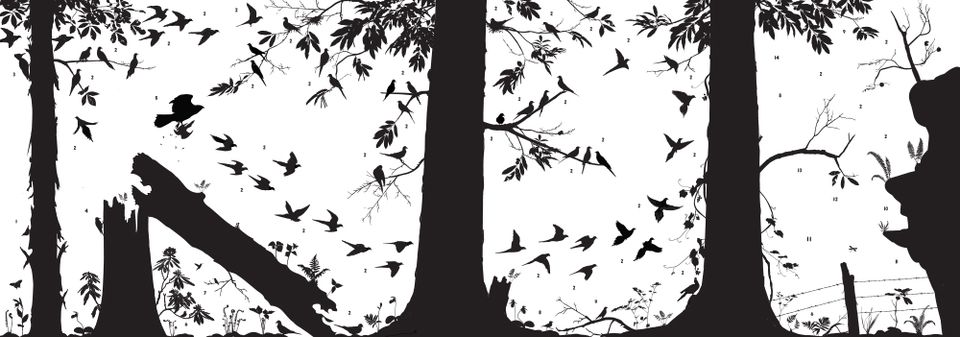 A silhouette mural of a forest with trees, birds, vegetation, and a fence.