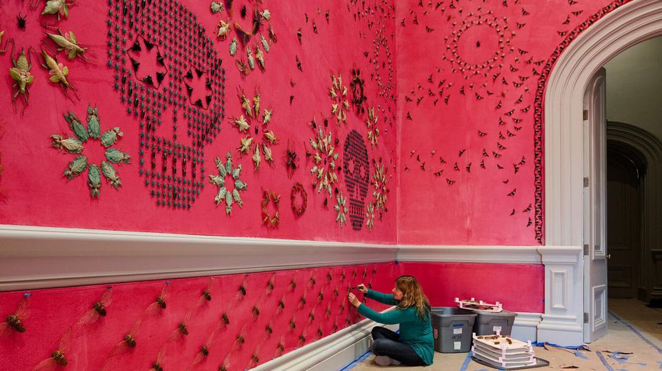 A photograph of a woman sitting down on the ground installing bugs to a pink wall in an art gallery.