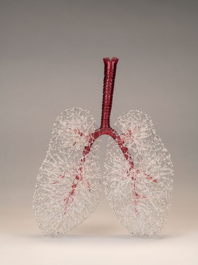 Glass lungs sculpture