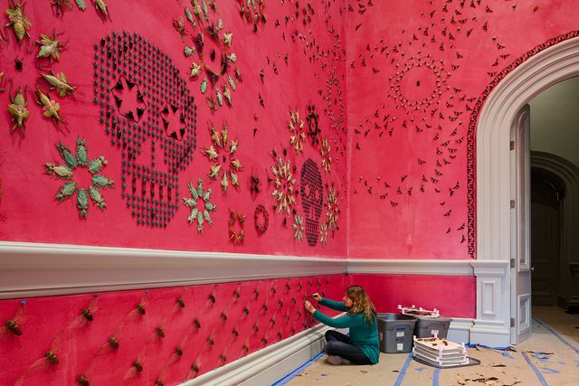 A pink wall with a female attaching bugs to it.