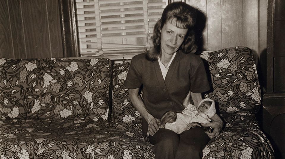 Black and white photograph of a woman holding a monkey that is swaddled like a baby