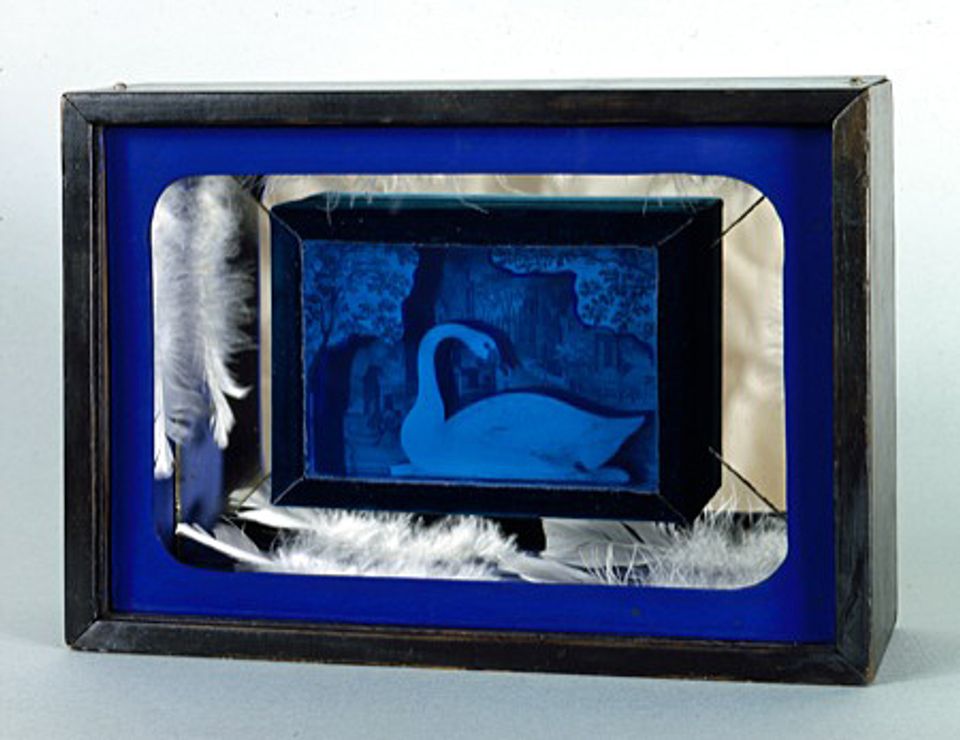 A blue box with a box inside with a swan and feathers. 