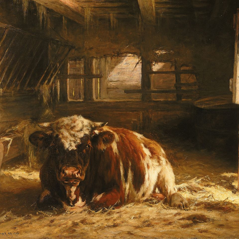 A painting of a cow laying down inside a farm house.