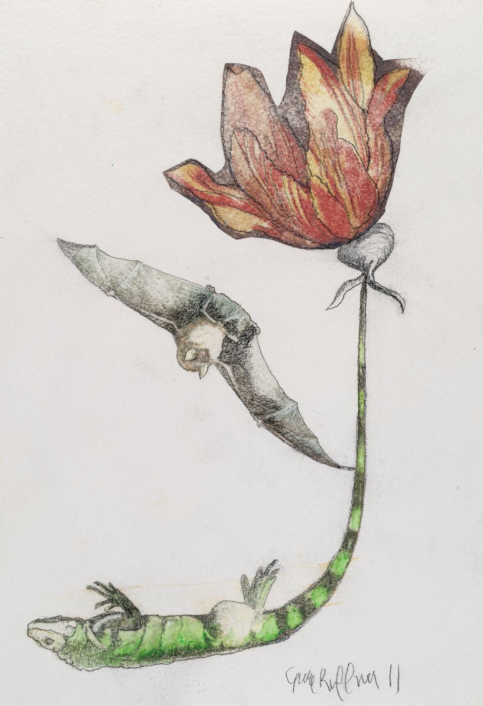 A drawing of a flower with a lizard as the stem and a bat as a leaf.