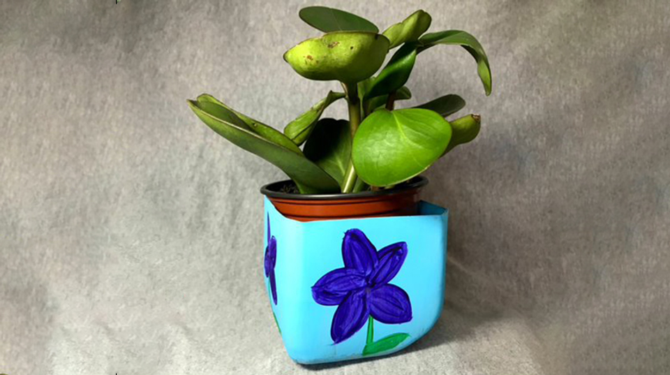 Blue upcycled planter with a plant