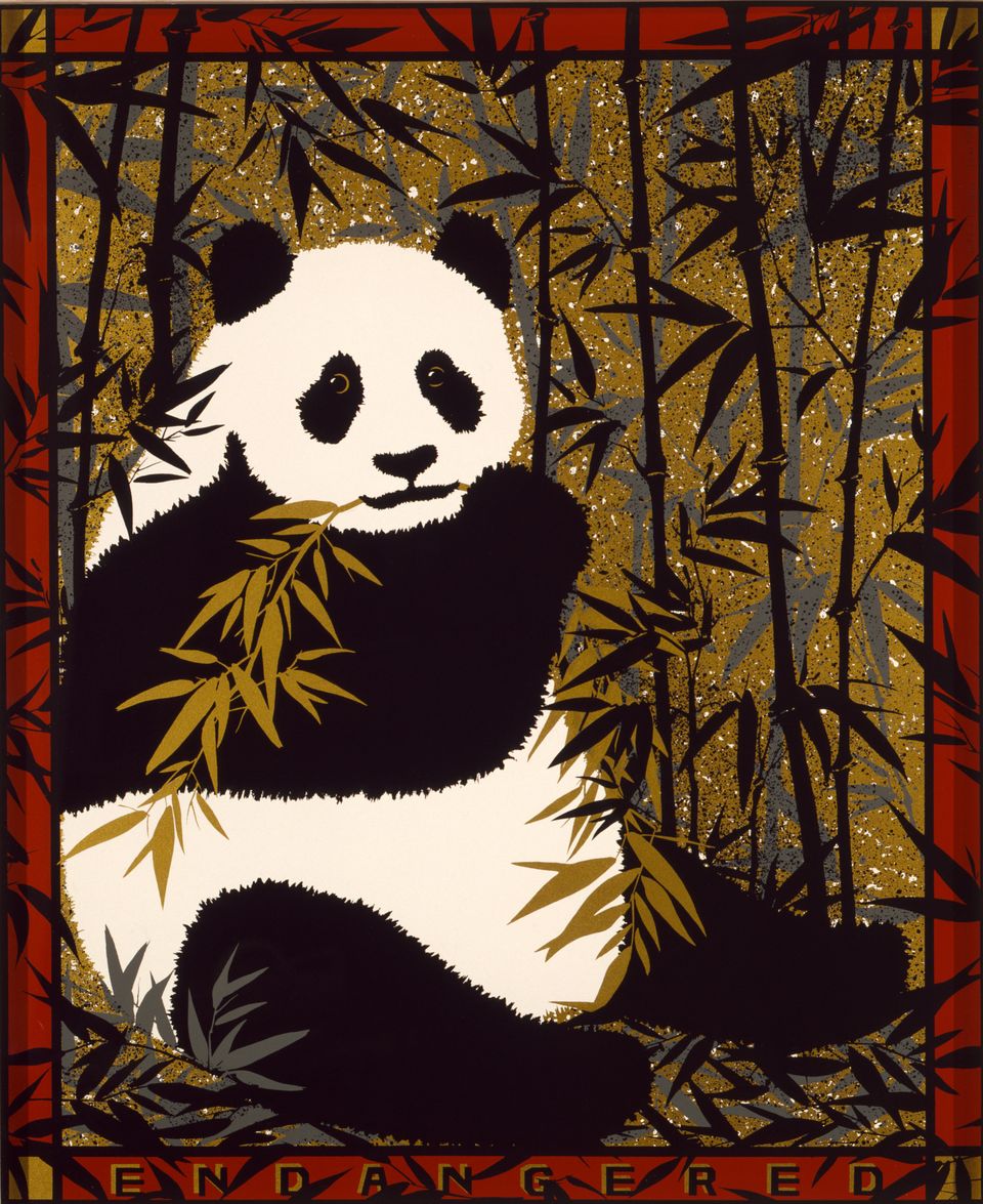Giant Panda - Evocative Poster - Photowall