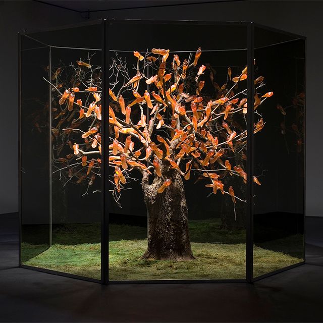 A photograph of an artwork that resembles a tree. 