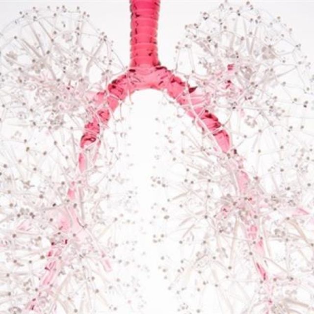 A close-up of Kit Paulson's artwork, Lungs