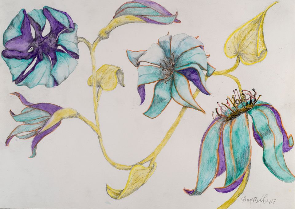 A drawing of four blue and purple flowers.