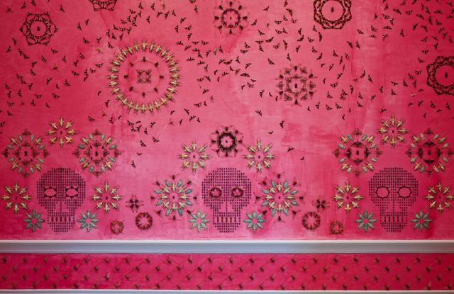 A pink wall with bugs attached. 