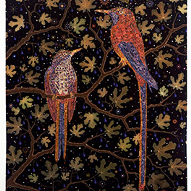 An image of two red and blue birds in a tree at night