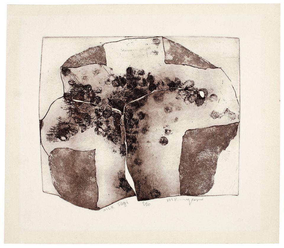 Puryear's MLK Elegi made from softground etching and aquatint on a shaped plate.