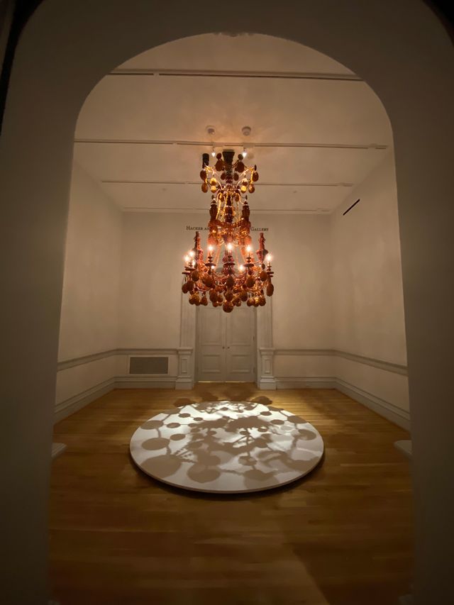 An installation photograph of a chandelier 