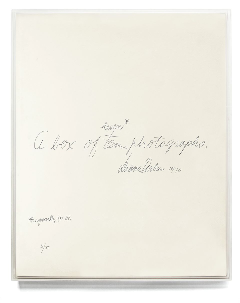 An image of Diane Arbus' book over in white with writing on it.