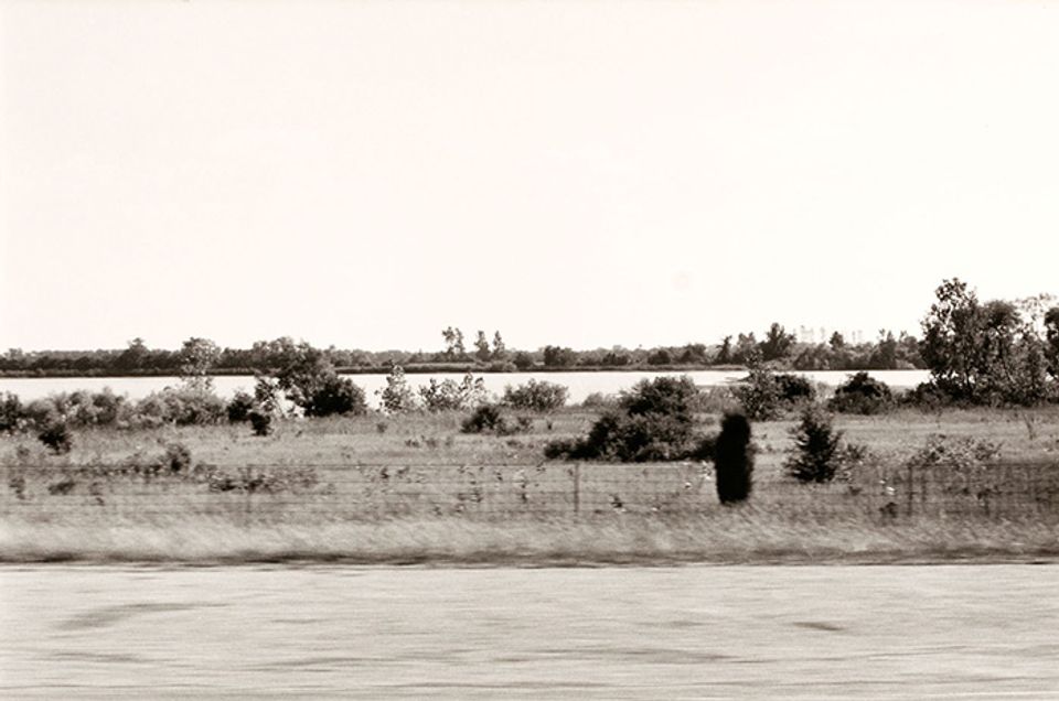 A photograph of an Indiana landscape with shrubbery taken by automobile.