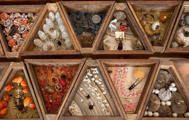 Drawers with small bug related objects in them.